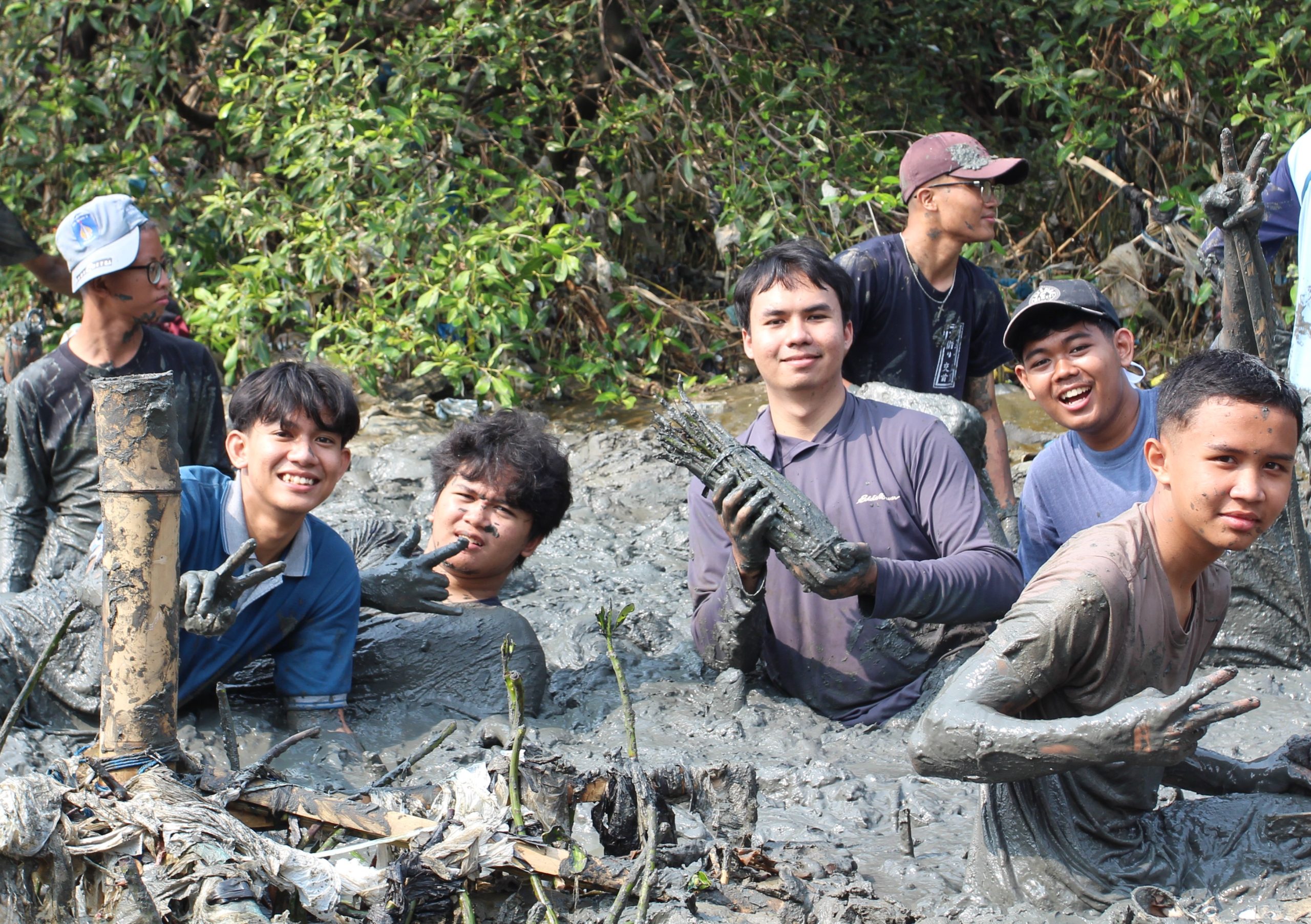 Penanaman Mangrove 3
